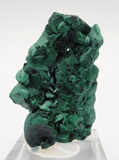 Botroidal Malachite