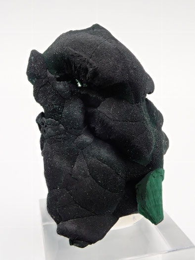 Botroidal Malachite