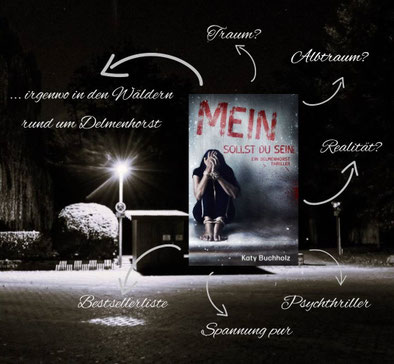 Außengraft Delmenhorst bei Nacht, Buch-Cover