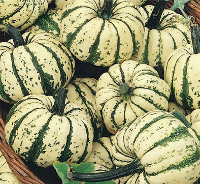 Résultats de recherche d'images pour « courge sweet dumpling »