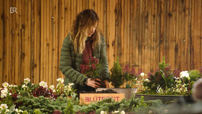 BR Bayrischer Rundfunk Abendschau Blumen Start up München