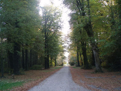 Longue avenue bordée d'arbre qui mène au château de Keriolet en Bretagne à quelques kilomètres de Concarneau (Finistère)