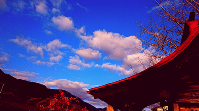 冬空　神社　南天