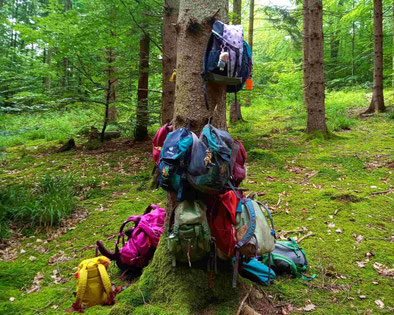 Rucksäcke im Waldkindergarten hängen am Baum