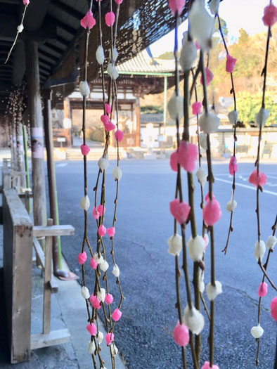 石山寺の餅花　2019