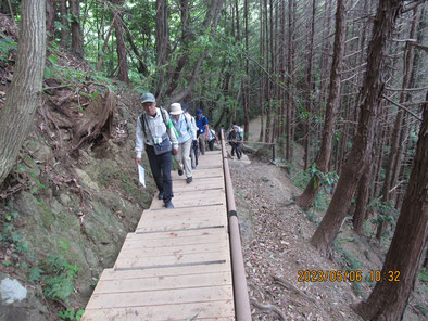 稲荷山コース：増設された木の階段を上る
