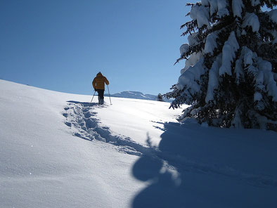 Faire sa trace dans la neige vierge...régal! Own steps in the fresh snow...a real treat!