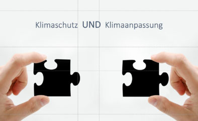 Pices of a puzzle climate change mitigation and climate change adaptation