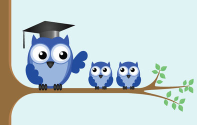 Three owls sitting on a tree branch being tutored to be engaged, inspired, creative individuals.