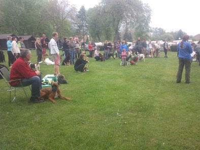 Dogtrekking Dogtrekking Dogtrekking Dogtrekking Elbsandstein-Dogtrekking ESDT Harz-Dogtrekking
