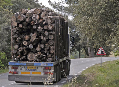 175 camions de 30 tonnes par jour rien que pour alimenter Gardanne