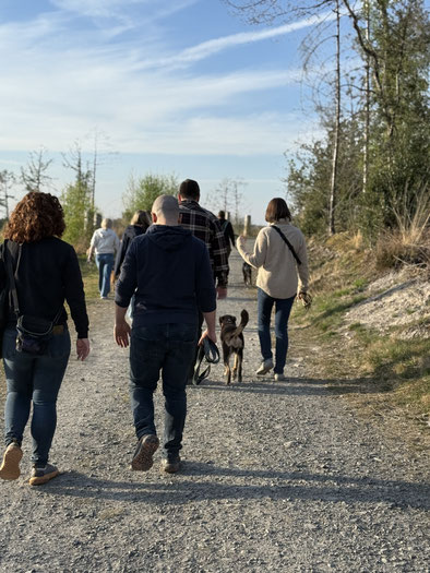 Mensch-Hund-Teams gehen entspannt bei der Feierabendrunde spazieren mit Rundum Glückshund Bergisch Gladbach