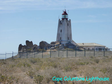 Bild: Cape Columbine Leuchtturm