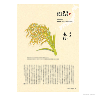 「季刊地域」『よかっタネ 昔の品種復活(かめじ)』