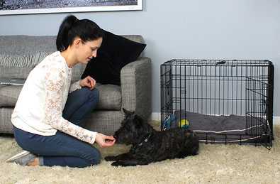 cage pour chien
