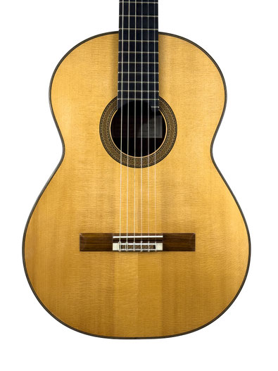 Dominique Delarue - classical guitar  