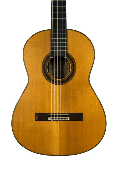 Daniel Friederich - classical guitar  