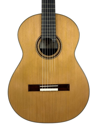 F.J. Riquelme - classical guitar  
