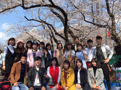<上野公園にてお花見、初めての桜>