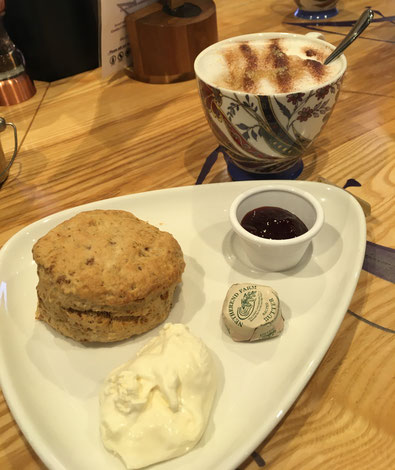 Scones with clotted cream, jam and cappuccino at Annandale