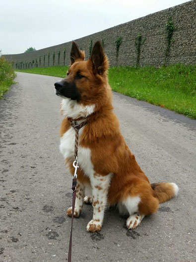 Baduni, die kleine Kontroletti-Lady