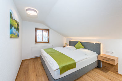 Apartment Kristall - Frechhof - Schladming