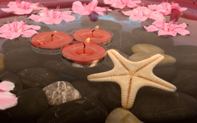 Formation magnétisme, atelier découverte magnétisme,ateliers découverte au pendule, spiritisme, coaching perte de poids, coach love, organisateur de salons, isère, rhône alpes, saint alban de roche 