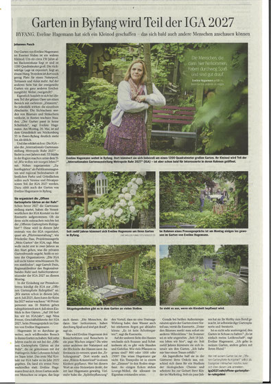 WAZ print 30.05.2025