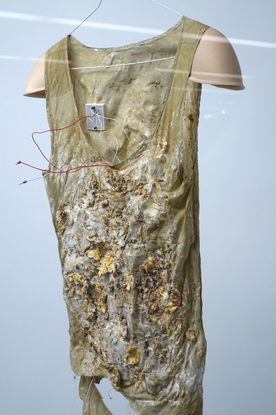 Maaijke Middelbeek, Reactive Fungi Wearable, Parallel sensing with fungi, mushroom mycelium fabric, Question Me & Answer 