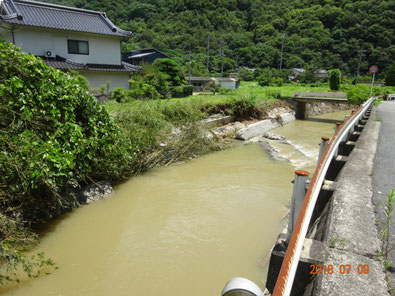 明治橋南、堤防がえぐられています。