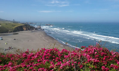 Strand in Oregon