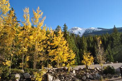 Herbst im Rocky Mountain Nationalpark