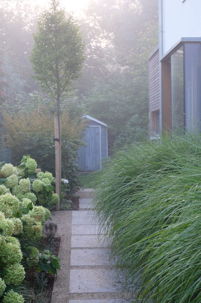 dieartigeGARTEN // Nebel im Herbstgarten - Norden, Weg m. Blausteinplatten + Chinaschilf + Hortensien + Säulenbuche