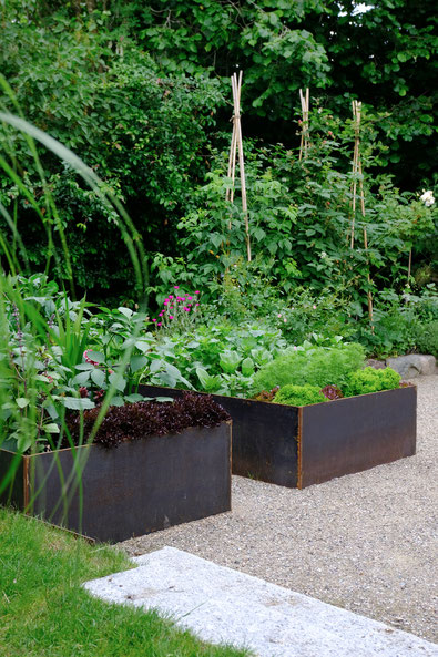 dieartigeGARTEN //June Garden - new high beds / neue Kniehochbeete mit Salat, Zinnien, Dahlien & Co, Im Hintergrund Himbeeren, Taybeere