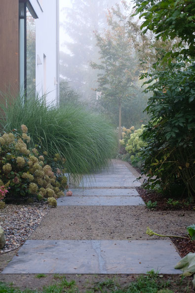 dieartigeGARTEN // Nebel im Herbstgarten - Norden, Weg + Chinaschilf + Hortensien