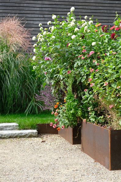 dieartigeGARTEN // August Garden - high beds with dahlias+zinnia / Hochbeete mit Dahlien+Zinnien