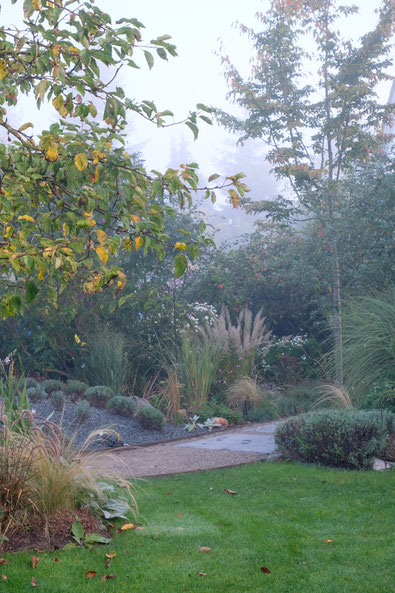 dieartigeGARTEN // Nebel im Herbstgarten - Weg m. Blausteinplatten + Lavendelhügel+ Felsenbirne + Gräser + Apfel