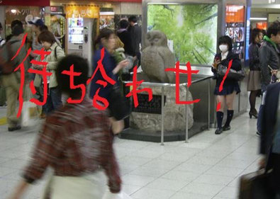PCMAX体験