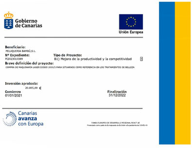Peluquería Bambú SL - Proyecto: Mejora de la productividad y la competitividad 2022