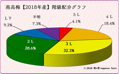 南高梅出荷内訳表【2017】 和×夢 nagomu farm