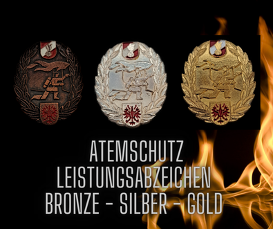 19 Mitglieder konnten den Bewerb in Bronze erfolgreich absolvieren, 9 Mitglieder absolvierten diesen in Silber und 8 Mitglieder in Gold.