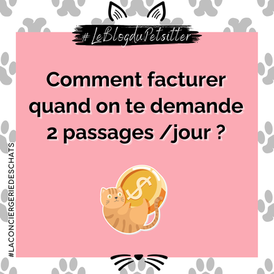 5-imprévus-que-peuvent-connaitre-les-pet-sitters-comment-les-anticiper