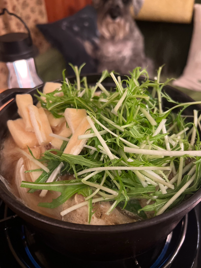 野菜たっぷり鍋