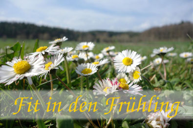 Heilpraktiker, Gesundheit, Ernährung