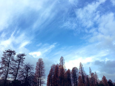 井の頭公園ウォーキングにて