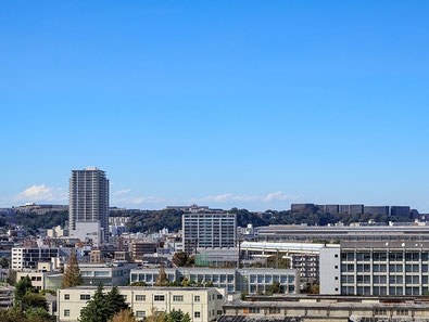 横浜の磯子区全域で区議会議員のチラシをポスティング