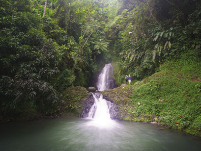 Seven Sister Wasserfall, Grenada, Karibische Inseln, Karibik