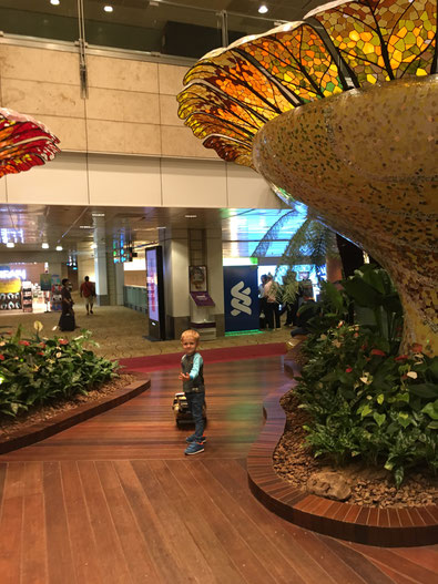 Singapore Airport - an amazing location - with lots of things to discover