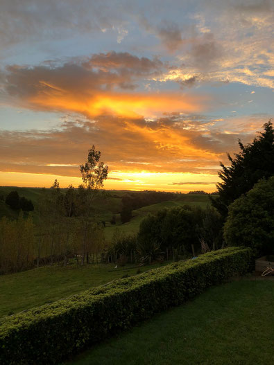 Unser neuer Ausblick... Weitblick... Fernblick...