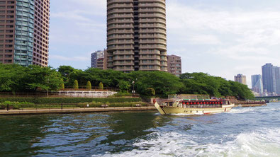 Tokyo, river, cruise, Sumida, hamarikyu, Asakusa, walking, tour, boat, tea house,